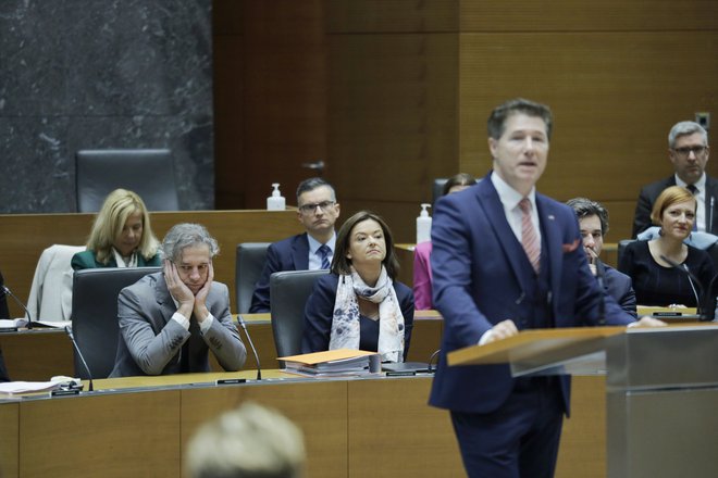 Tanja Fajon naj bi zlahka prestala interpelacijo. FOTO: Jože Suhadolnik/Delo
