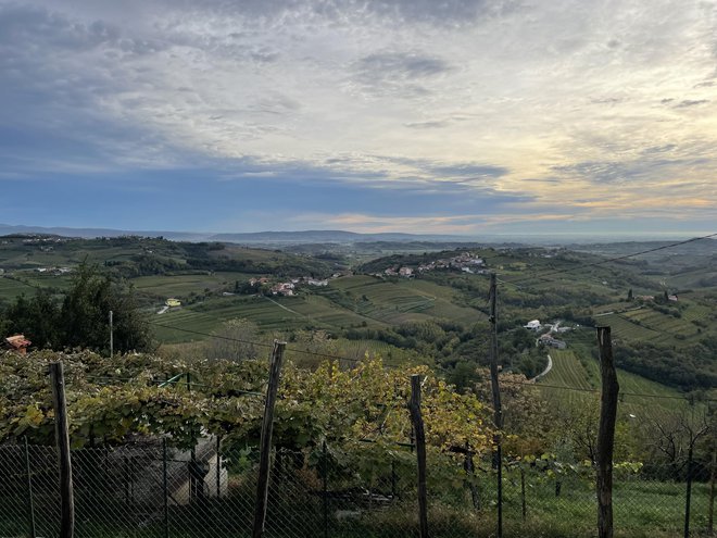 V jesenskem zavetju vinorodnih briških gričev. FOTO:&nbsp;R. T.
