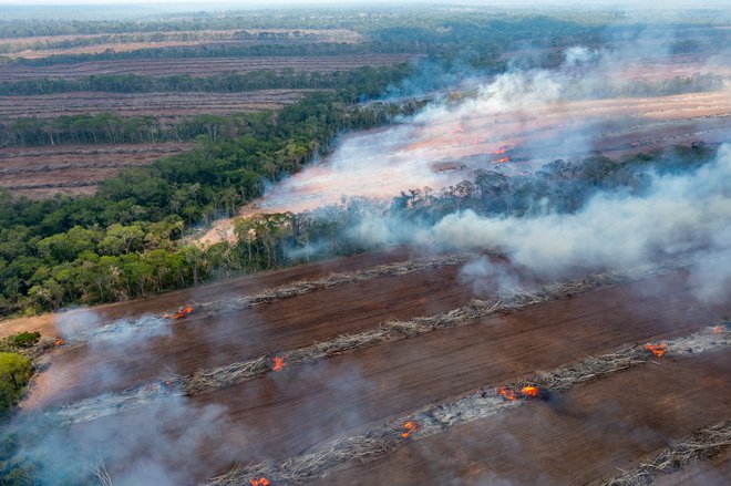 Požari so razlog za tretjino izgube gozdov v Boliviji na leto. Nadzorovani požari, ki jih zanetijo kmetje za čiščenje kmetijskih površin, pogosto uidejo nadzoru in se razširijo na gozd. FOTO: Matjaž Krivic
