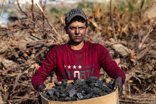 Sirec nosi zaboj oglja za domačo uporabo na podeželju Rake na severu Sirije. Foto: Delil Souleiman/Afp
