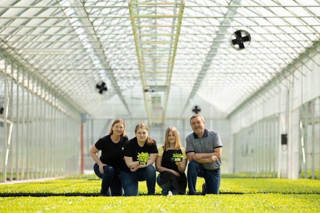 Družinsko podjetje Cornus Draga in Sandre Belec s sadikami, ki jih prideluje na treh hektarih rastlinjakov v Logarovcih pri Ljutomeru, oskrbuje 30 odstotkov slovenskega trga.&nbsp;FOTO:&nbsp;Arhiv podjetja Cornus
