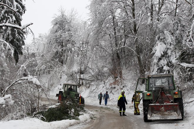 Žled je Slovenijo hudo prizadel leta 2014. FOTO: Marko Feist/Slovenske novice
