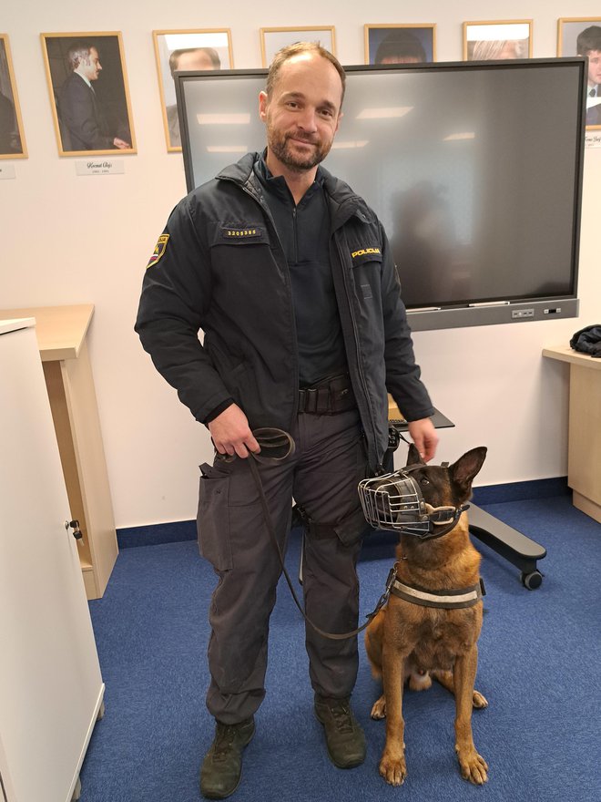 Vodnik službenega psa Tadej Jakop je dejal, da so tudi policijski psi, ki so vajeni pokov in strelov, lahko zaradi pokov v stresu. Kaj šele tisti psi, ki nimajo tega urjenja! FOTO: Špela Kuralt/Delo
