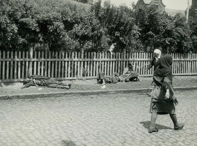 Gladomor je dobil takšne razsežnosti, da so ljudje od lakote umirali dobesedno na ulicah. Na fotografiji je prizor iz Harkova leta 1933. FOTO: Harvard University Press
