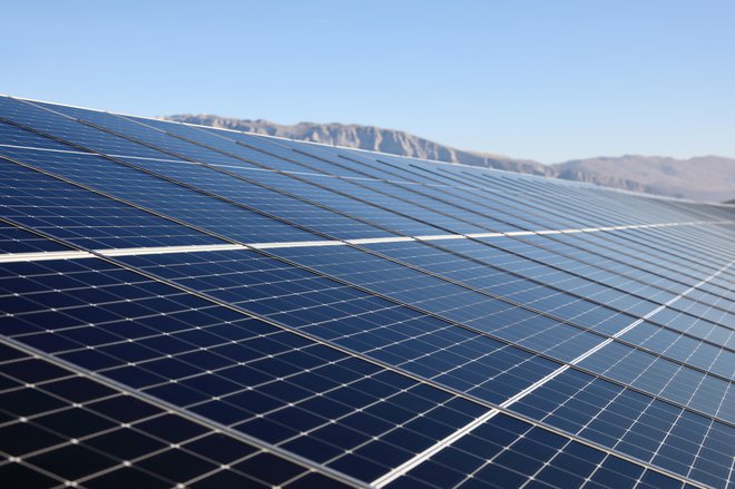 V sončnih elektrarnah Suknovci, Pliskovo in Vrbnik bo skupaj stalo 40.100 sončnih panelov. FOTO: Petrol
