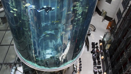AquaDom je bil največji prostostoječi akvarij cilindrične oblike. V višino je meril 16 metrov, tehtal pa približno tisoč ton. FOTO: Kay Nietfeld/AFP

