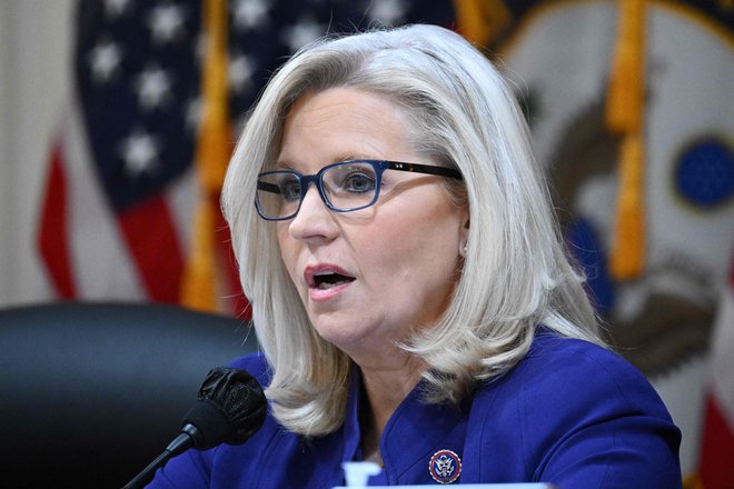 Podpredsednici odbora Liz Cheney so se odrekli lastni republikanski volivci. FOTO: Mandel Ngan/AFP
