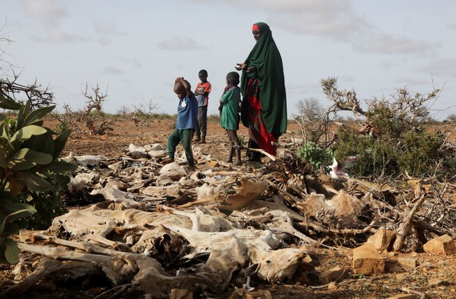 Apokaliptične podobe iz Somalija. Foto: Feisal Omar/Reuters
