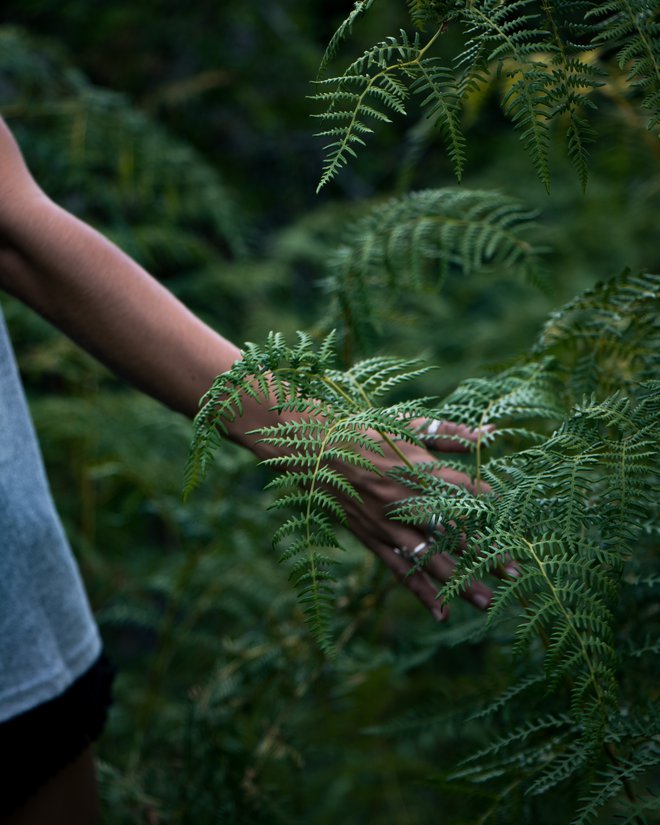 Potopisna knjiga Oliverja Sacksa nas ne uči le o ljudeh in krajih, je učbenik, kako se čuditi svetu. FOTO: Taryn Elliott/Pexels
