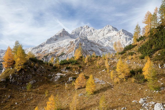 Vrh gore je bel kažipot očem/In jasen dan žari od vsepovsod/in sreča je, da je pred mano pot,/in to da vem, da slast je v tem, da grem, je&nbsp;zapisal Janez Menart. FOTO: Planinsko društvo Srednja vas v Bohinju
