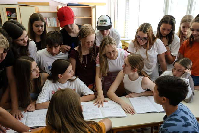 Slovenija je med državami v Evropi, ki imajo najnižji delež učiteljev, mlajših od trideset let. FOTO: Črt Piksi
