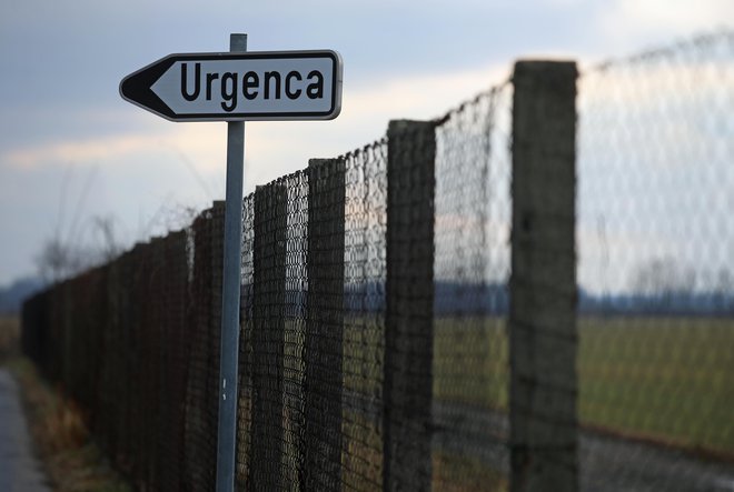 Policisti bodo&nbsp;o dogodku obvestili pristojno državno tožilstvo. FOTO: Tadej Regent/Delo
