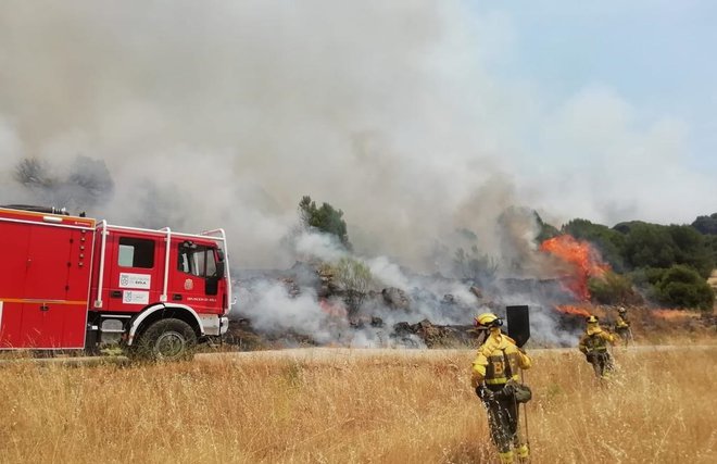 V Španiji je ogenj lani opustošil okoli 300.000 hektarov površin. FOTO: Reuters
