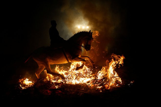 Jezdec se prebija skozi plamene med vsakoletnim praznovanjem &raquo;Luminarias&laquo; na predvečer dneva svetega Antona, španskega zavetnika živali, v vasi San Bartolome de Pinares, severozahodno od Madrida. Foto: Susana Vera/Reuters
