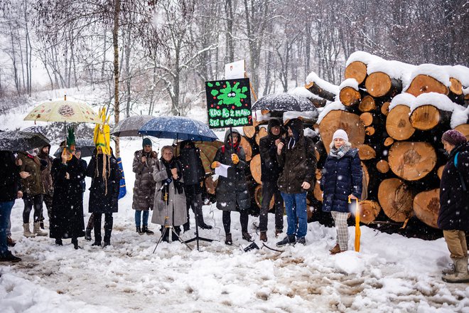 V večerni oddaji na TV Slovenija je bila 16. januarja prikazana sečnja gozda na Šišenskem hribu in še drugje v ljubljanskem krajinskem parku&nbsp;... in tudi protest ljudi proti tej sečnji. FOTO ČRT PIKSI
