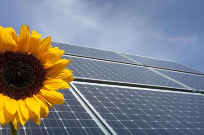 Glavni namen izdaje zelenih obveznic PV-Invest&nbsp;je usmerjen v reševanje okoljske in energetske problematike. FOTO: iStock
