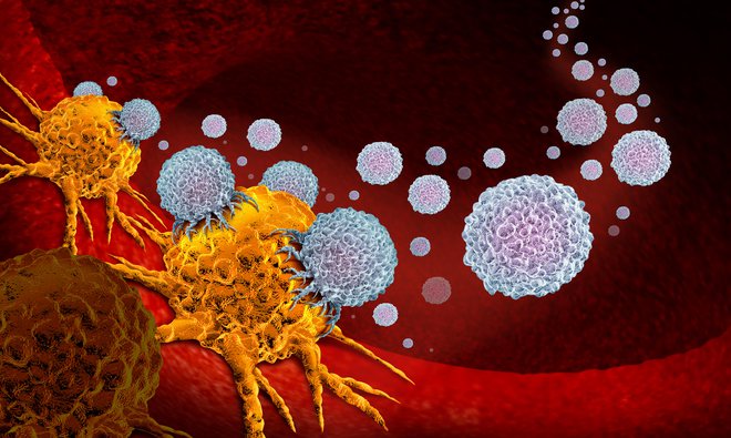 Imunoonkološke terapije zajemajo različne pristope, katerih cilj je stimulacija imunskega sistema, da ta prepozna tumor kot tujek, ga napade in odstrani. FOTO:&nbsp;Shutterstock
