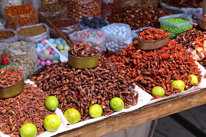 Na eni od tržnic v Mehiki je izbira nadvse pestra. FOTO: Shutterstock
