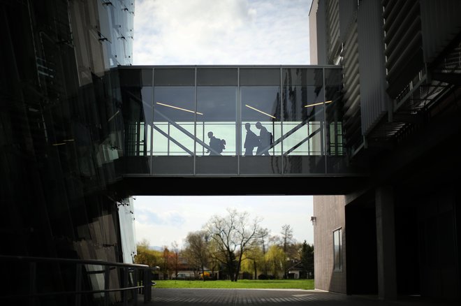 Nakvis je akreditacijo Univerze v Ljubljani pogojeval s spremembo vpisnih pogojev. FOTO:&nbsp;Jure Eržen/Delo
