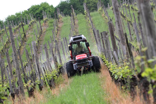 Poročilo evropskega parlamenta določa več izjem za uporabo pesticidov na občutljivih območjih, medtem ko predlog evropske komisije uporabo pesticidov na teh območjih povsem prepoveduje. FOTO: Tadej Regent
