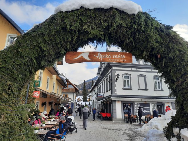 O planiški čaplji Viti, ki je pogosto zamenjana za štorkljo, ničesar. FOTO: Saša Bojc
