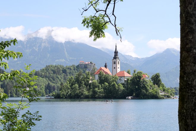 Gospodarska rast v Sloveniji se bo v prihodnjem letu predvidoma povzpela na 2,4 odstotke, kažejo napovedi skupine Consensus. Foto Marko Feist
