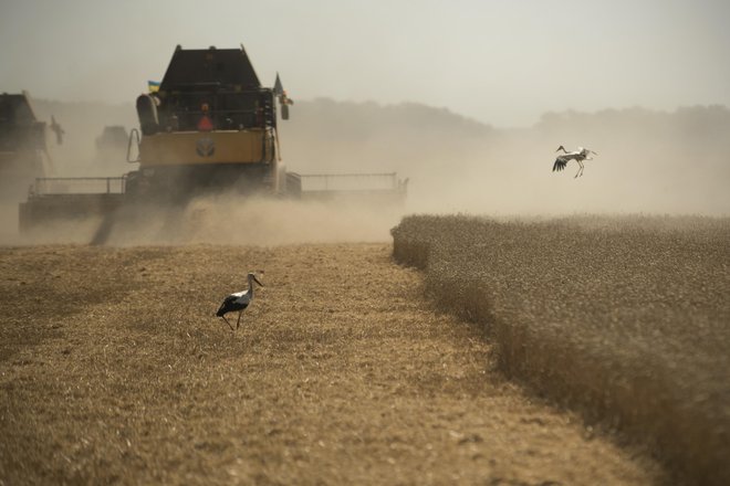 Ko so lani čez ukrajinska polja zahrumeli ruski tanki, so&nbsp;cene energentov in hrane kmalu poletele v nebo.&nbsp;Foto: Jure Eržen/delo
