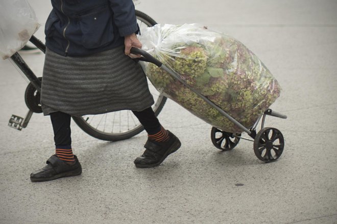 Stopnja resne materialne in socialne prikrajšanosti je znašala 1,4&nbsp; odstotka, kar pomeni približno 29.000 ljudi. FOTO: Jure Eržen/Delo
