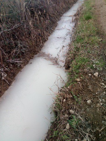 Belo obarvan hudournik, ki se zliva v reko Rižano.&nbsp; FOTO:&nbsp; Alpe Adria Green
