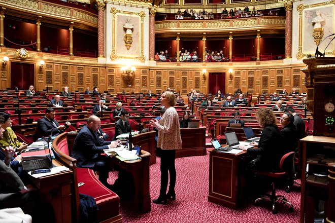 O pokojninski reformi zdaj razpravljajo senatorji. FOTO:&nbsp;Alain Jocard/AFP
