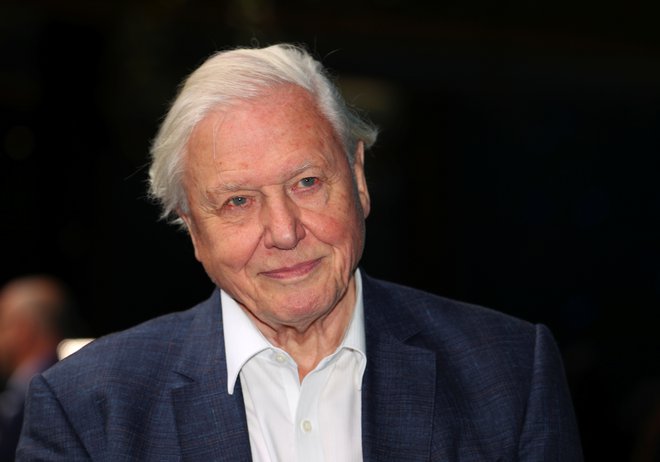 Attenborough ima zaradi svoje častitljive starosti in izkušenj edinstven pogled na to, kako se je britanska narava spreminjala v njegovem življenju. FOTO:&nbsp;Hannah Mckay/Reuters
