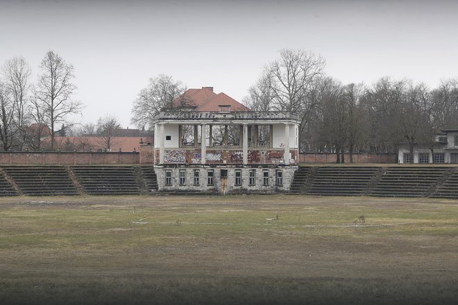 Mladi za podnebno pravičnost so pred dnevi na Plečnikovem stadionu posadili mlada drevesa. FOTO: Leon Vidic/Delo
