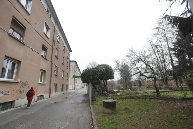 Vrtički med Fondovimi bloki in Plečnikovim stadionom so pravnomočno v lasti stanovalcev. FOTO: Leon Vidic/Delo
