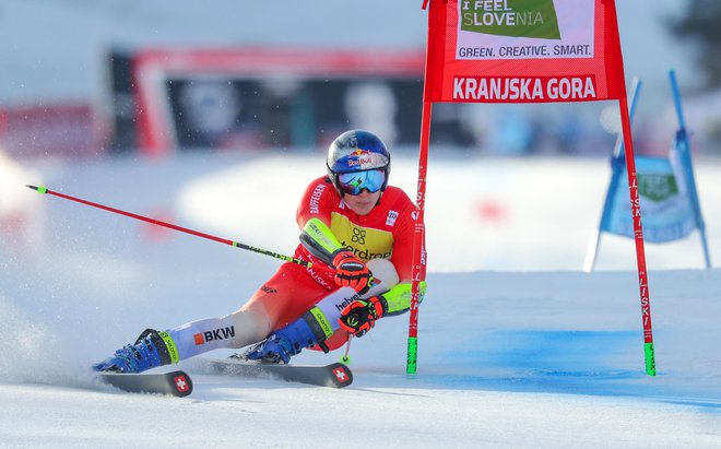 FOTO: Matej Družnik/Delo
