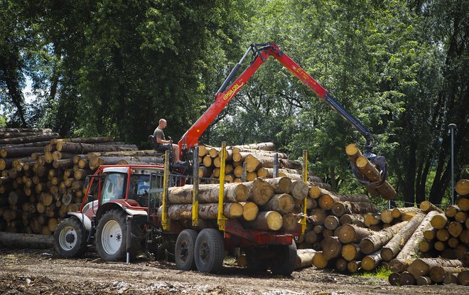 Na ministrstvu za gospodarstvo ocenjujejo, da obstaja še velik potencial za nadaljnji razvoj lesnopredelovalne panoge. FOTO: Jože Suhadolnik/Delo
