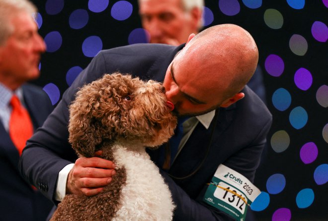 Lastnik Javier Gonzalez Mendikote je poljubil svojega psa po imenu Orca, ki je zmagal na zadnji dan pasje razstave Crufts v Birminghamu. Pasja razstava slovi kot največja na svetu. Foto: Molly Darlington/Reuters
