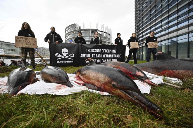 Člani organizacije za zaščito morja Sea Shepherd Conservation Society (SSCS) držijo transparent med demonstracijami, s katerimi obsojajo neselektivni ribolov pred Evropskim parlamentom v Strasbourgu. Foto: Frederick Florin/Afp
