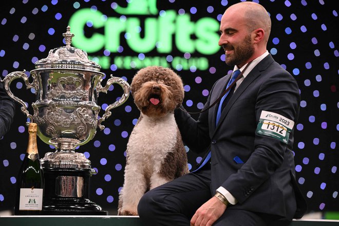 Orca je na pasji razstavi Crufts Dog Show v Veliki Britaniji premagala okoli 19 tisoč psov. FOTO:&nbsp; Oli Scarff/AFP
