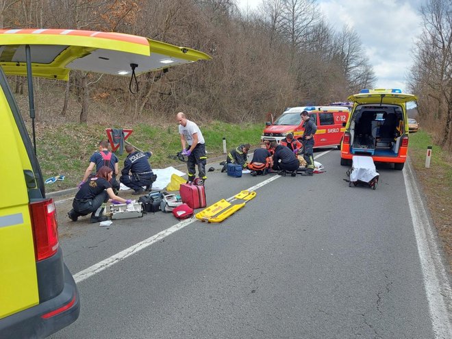 Motoristu ni bilo pomoči. FOTO: PGD Ilirska Bistrica
