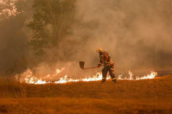 Požar na Krasu je lani opustošil pokrajino. FOTO: Črt Piksi/Delo
