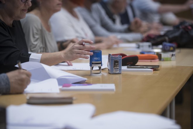 Z velikim zanimanjem spremljam dogajanja v zvezi s prenovo plačnega sistema v našem javnem sektorju. FOTO Jure Eržen/Delo