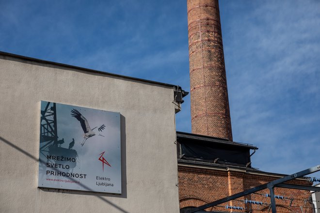 Zamenjava na vrhu Elektra Ljubljana bi se lahko zgodila v prihodnjih dveh tednih. Foto Črt Piksi/Delo