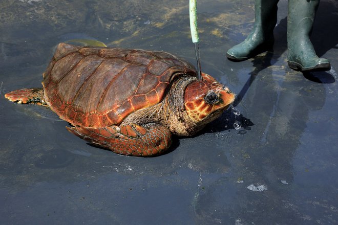 FOTO: Borja Suarez/Reuters