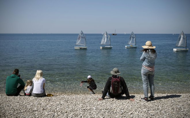 V Piranskem zalivu pa bo potekala velikonočna regata, na kateri bo jadralo okoli 550 jadralcev v razredu optimist. FOTO: Blaž Samec/Delo