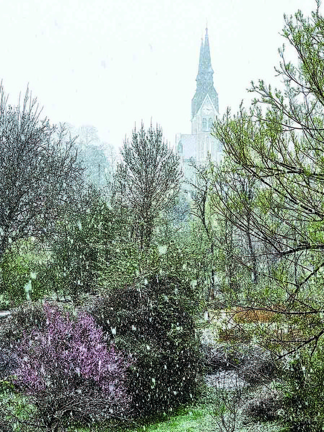 Uokvirjen izrez s trnovsko cerkvijo, v različnih obdobjih dneva, ki spominja na Monetove upodobitve svetlobe katedrale v Rouenu.

Pogled z okna našega stanovanja v poznopomladanskem sneženju, aprila 2022.

FOTO (in opis iz knjige): Robert Potokar