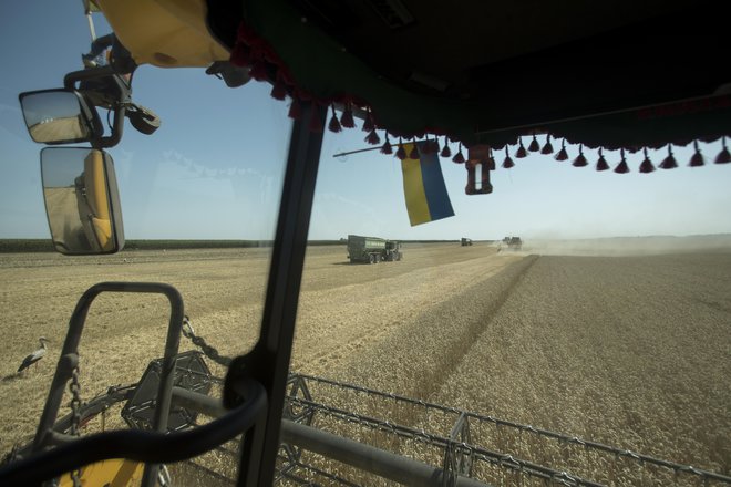 Pri prepovedi uvoza žita iz Ukrajine vlade ponavljajo, da si želijo zaščititi domače kmete pred poceni konkurenco. FOTO: Jure Eržen