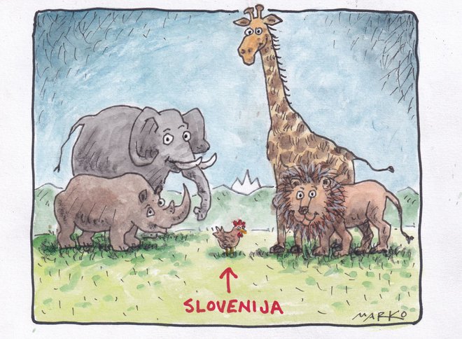 KARIKATURA: Marko Kočevar 