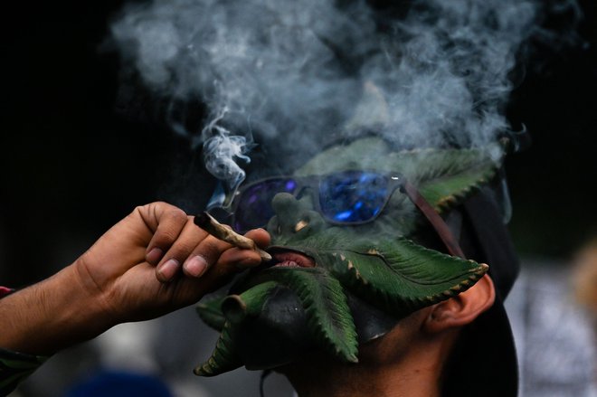 Na ljubljanskem Kongresnem trgu je včeraj po štirih letih spet potekl tradicionalni Marihuana marš. Gre za politični shod Študentske organizacije Univerze v Ljubljani, na katerem opozarjajo na družbeno, ekonomsko in zdravstveno problematiko, ki je posledica prohibicije konoplje. V Levici pozivajo, naj Slovenija pristopi k legalizaciji konoplje. Foto: Pedro Pardo/Afp