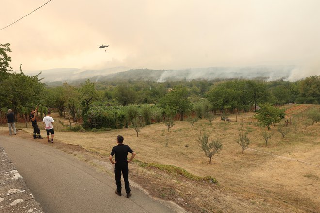 Pogled iz štaba v Kostanjevici na Krasu julija lani. FOTO: Črt Piksi/Delo