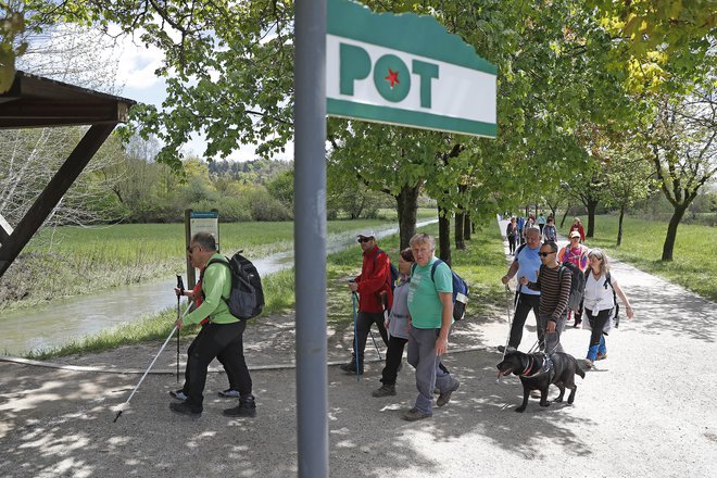 Pohod ima vedno množično udeležbo. FOTO: Leon Vidic/Delo